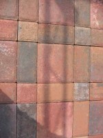 IMG_0087