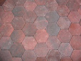 IMG_0135