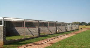 kennelweb