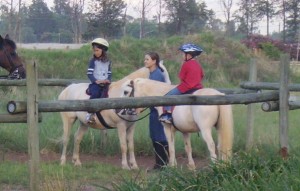 pony2