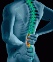 Chiropractor-Victoria-BC