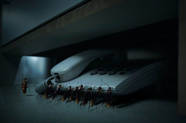 ikari-pest-control-1